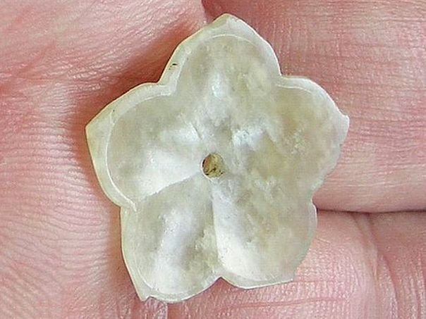 Flower 499 - (3805)